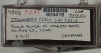 Stemonitis fusca image